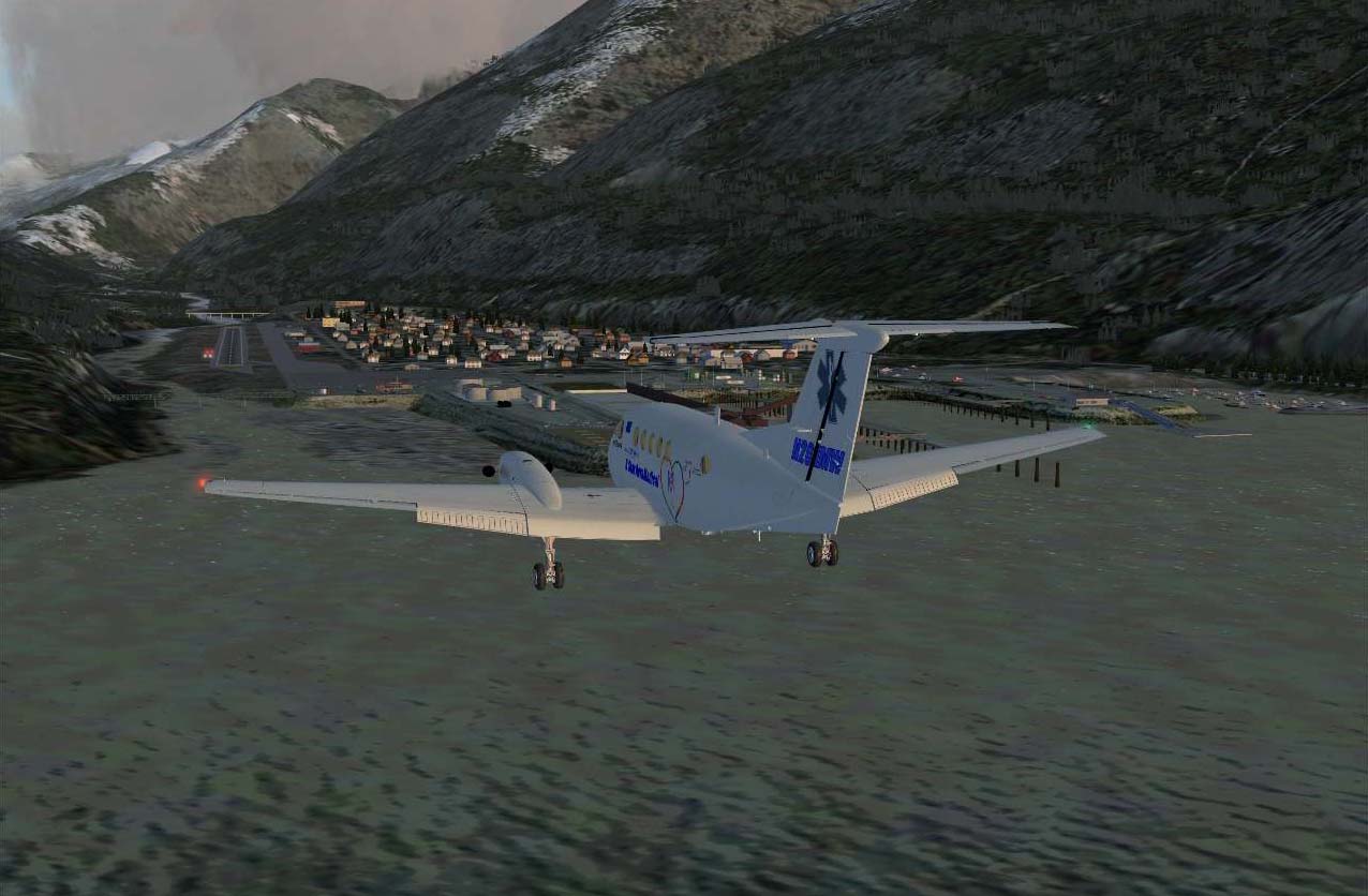 Beech_1.20101221202048.jpg
