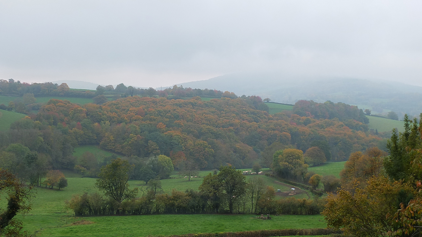 DSCF1390.2017630111714.jpg