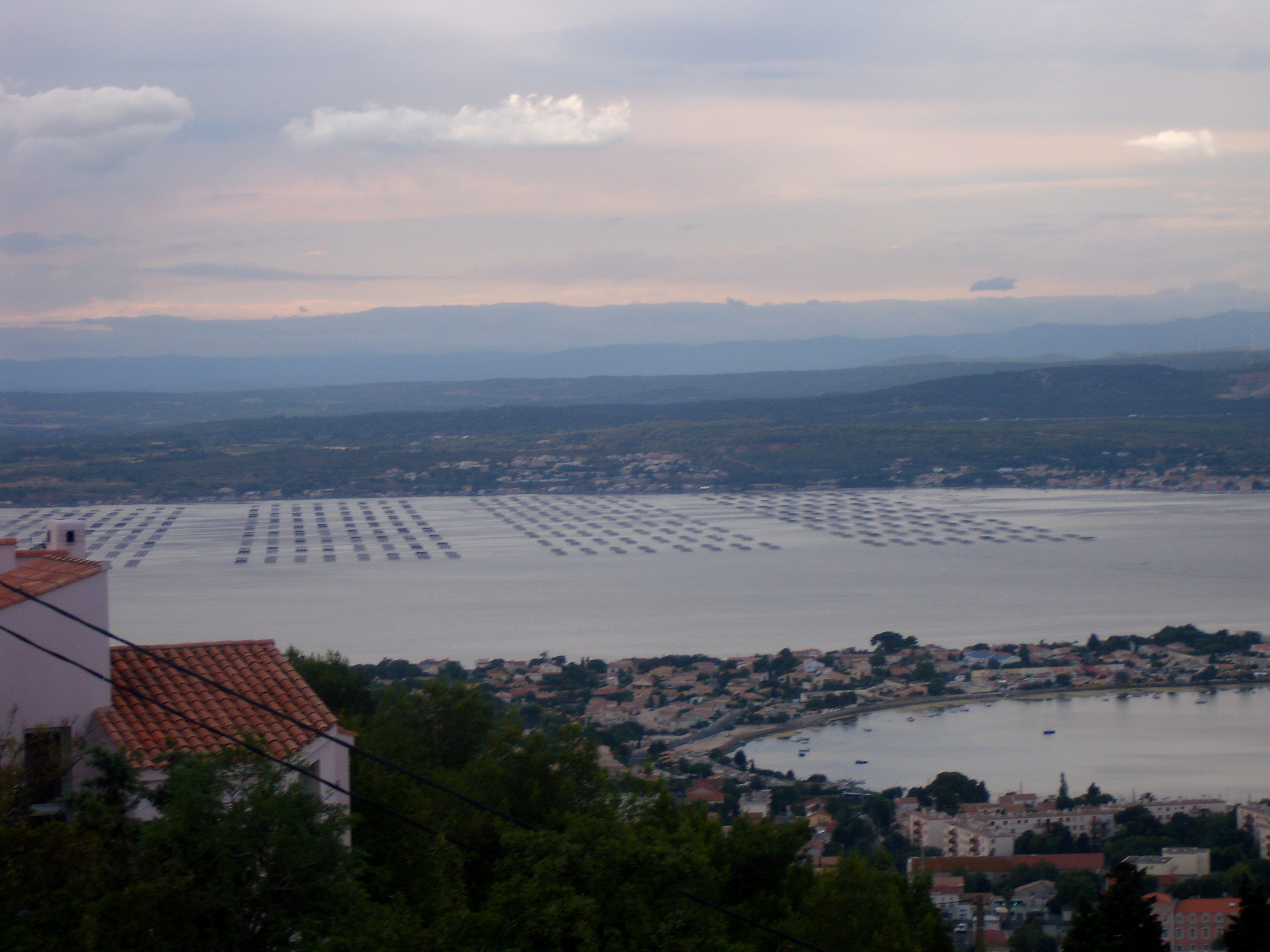 DSCI1677.20108415733.jpg