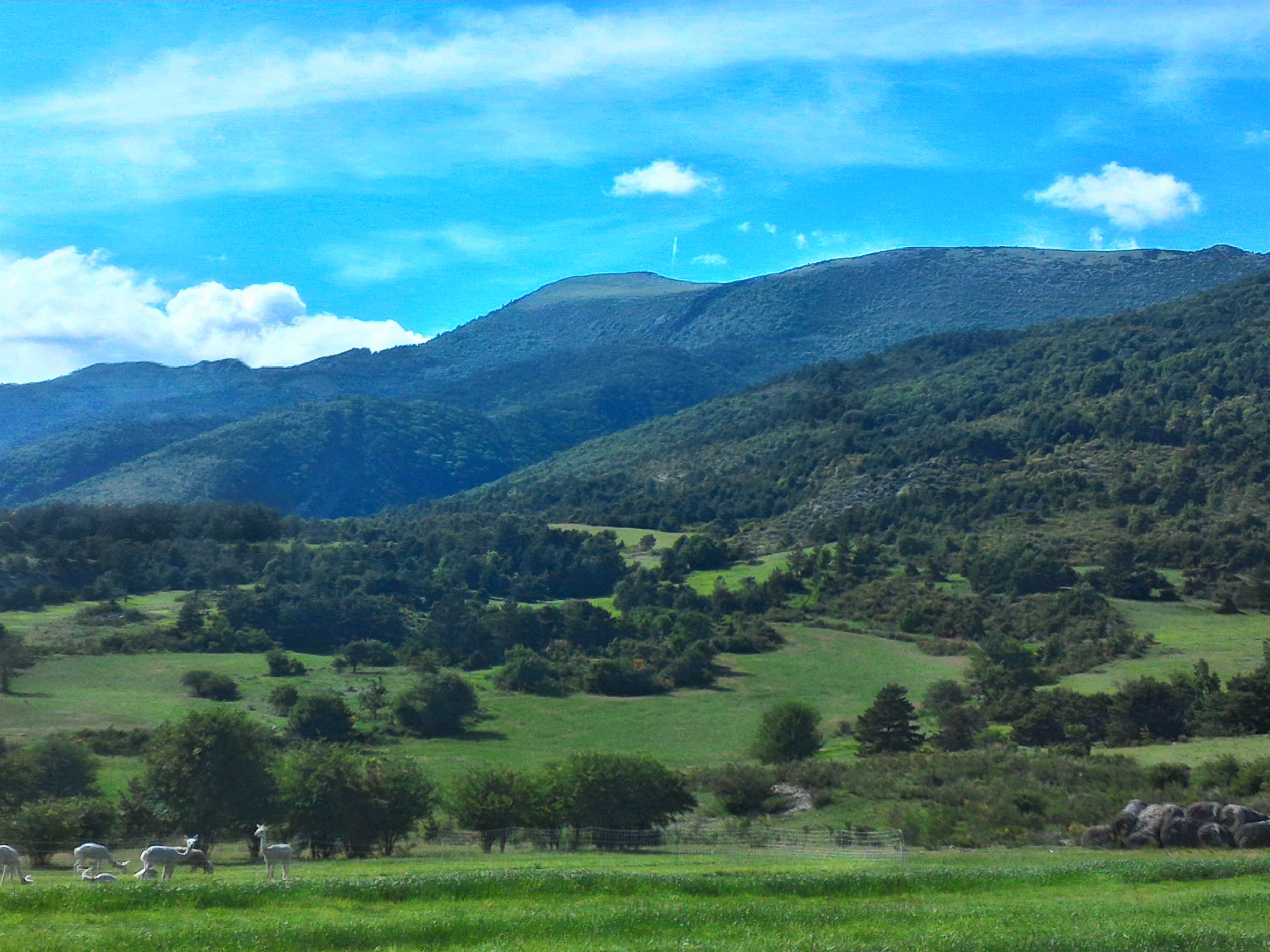 P_20170604_173129_HDR.201765145829.jpg