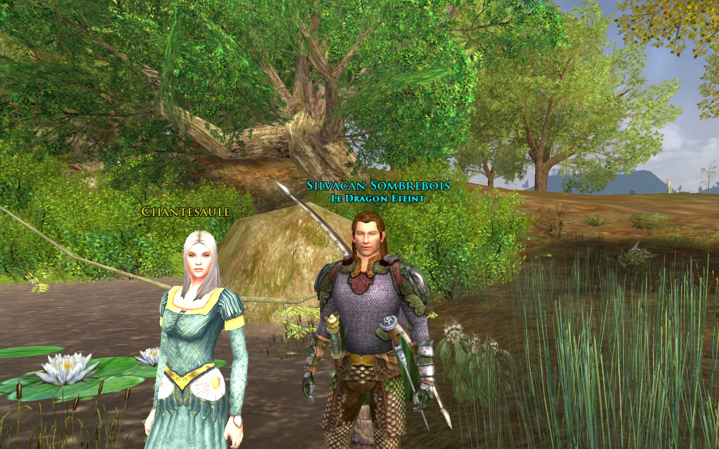 ScreenShot00083.20101017141031.jpg