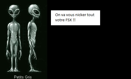 gris_petits_gris.2016810195152.jpg