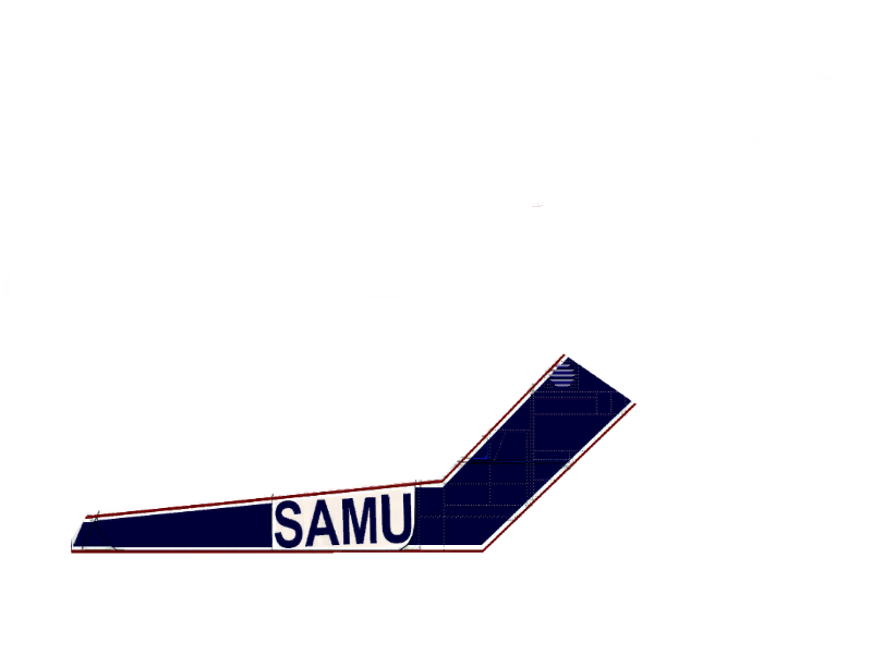 ligne_samu.201072721430.bmp